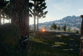 Deze spectaculaire open wereld-shooter is een gigantische Battle Royale multiplayer-game en zou verdomd geweldig zijn