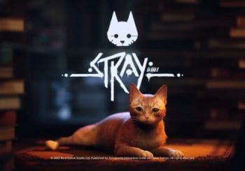Stray (Xbox One, Xbox Series S/X)