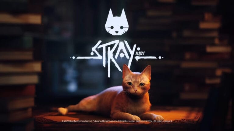 Stray (Xbox One, Xbox Series S/X)